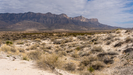 Guadalupe Mountain National Park