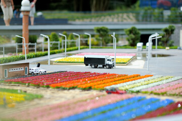 Miniature tulip fields at Madurodam miniature park, The Hague, Netherlands