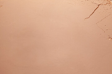 Bronzer or compact powder beige nude textured background