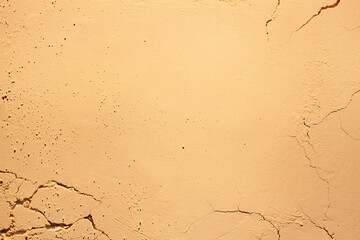 Bronzer or compact powder beige nude textured background