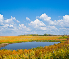 Fototapeta na wymiar quiet small lake among prairies, summer outdoor scene