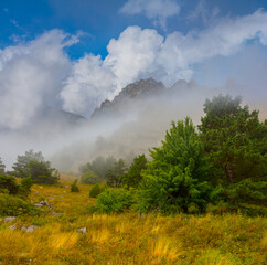 green mountain valley under cloudy sky in dense mist, outdoor travel scene