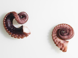 Parts of an octopus with tentacles and suckers isolated on a white background. Top view. Cooking, seafood recipes. Japanese, Thai cuisine. There are no people in the photo.