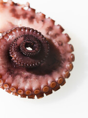 Macro shot. Part of the marine animal is an octopus. Biology, zoology, aquarium. Cooking - Japanese...