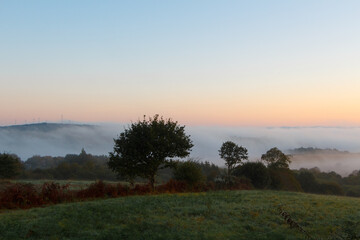 Fototapeta na wymiar Countryside under the fog in Brittany