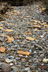 Stone path with ceramic bricks thrown in the middle  