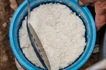 bucket of milk to prepare cheese