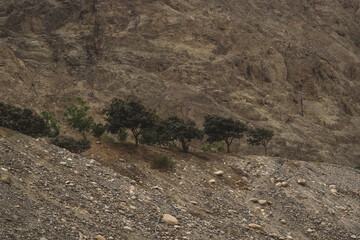 road in the mountains