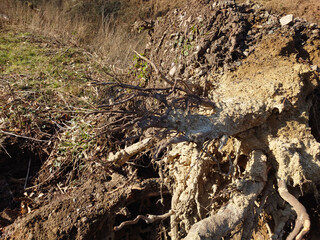 Sturmschäden Winter 2022