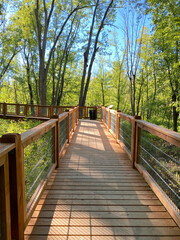 Passerelle et pont en bois dans la forêt surplombant un marais. Promenade dans un parc naturel en été. Passage piétonnier pour amateurs de nature