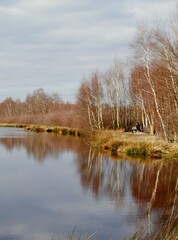 Obraz premium Teich im Himmelmoor