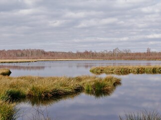 Himmelmoor mit Teich und Bäumen