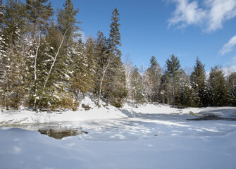 Snow covered forest along a river in Muskoka in winter 