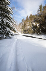 Fototapeta na wymiar Snow covered Tea Lake Dam trail beside the river in Algonquin Park in winter
