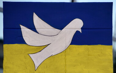 Schild auf einer Ukraine-Demo: Weiße Friedenstaube auf ukrainischer Flagge