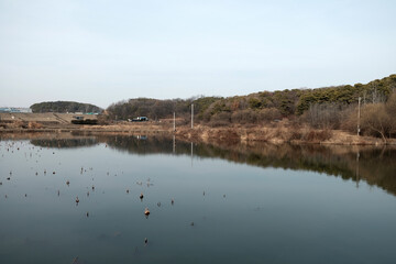 Anyangcheon Stream in Gyeonggi-do Province, South Korea.
