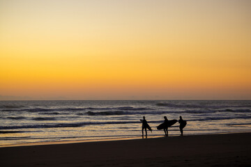Surfers on Muriwai beach at sunset