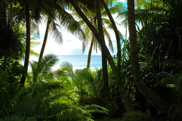 Deurstickers Palms by the Beach © Tyler