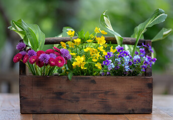 Beautiful plants with wildflowers stand on a wooden table on a sunny summer day. The concept of a European flower shop is to make a beautiful backdrop for a flower pot out of wild flowers.
