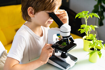 Little boy studies under the microscope plants, enthusiastically looks