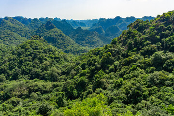 Fototapeta na wymiar Beautiful mountain viewpoint from Cat Ba Island. Panorama Of Cat Ba National Park In Vietnam