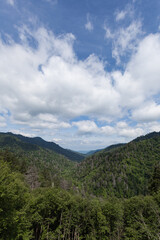 Changing Environment at Morton Overlook