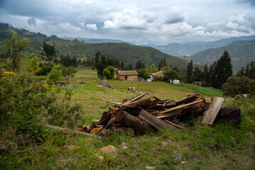 Fototapeta na wymiar Logs of wood in a field farm in the department of Boyacá. Colombia.