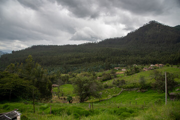 Fototapeta premium Country landscape with mountains full of pine trees in the department of Boyacá. Colombia.