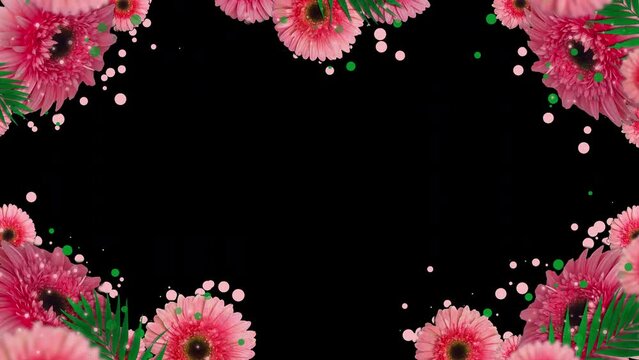 Pink flowers with tropical leaves take a shape border. Frame Motion Animation with gold particles. 4K Animated Frame with Alpha channel.