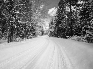 Monochrome photo of a snow covered road through forest in Algonquin Provincial Park in March in Ontario