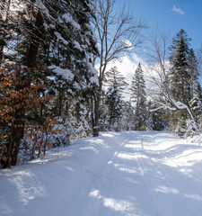 Winter scenic of a snow covered road through forest in Algonquin Provincial Park in March in Ontario