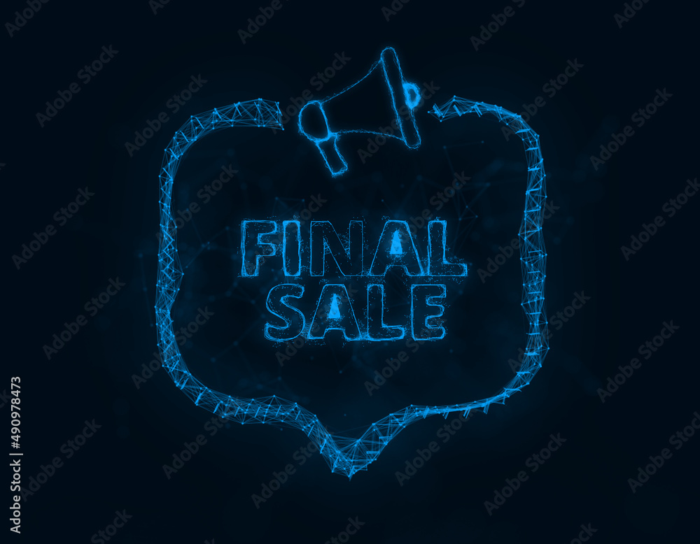 Leinwandbilder Megaphone banner with speech bubble and text final sale. Plexus style of blue glowing dots and lines. Abstract illustration