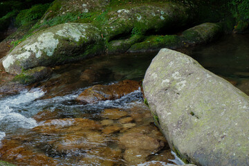屋久島の岩と川