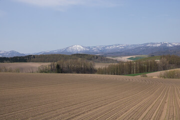 春の丘陵畑作地帯と残雪の山並み
