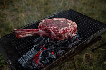 Vegetables and meat on the grill on hot coals with smoke