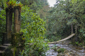 Hanging wooden bridge over a river on a jungle trail. in Cocora Valley, Colombia