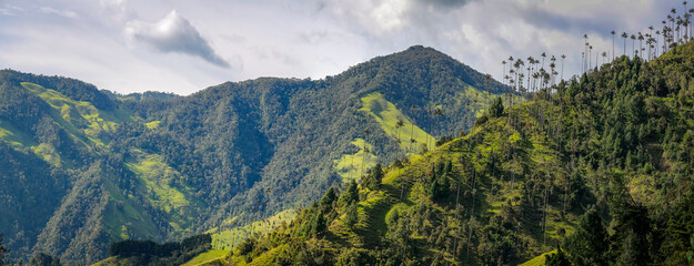 Panoramic view of mountains with forest and meadows in Cocora Valley, Salento, Colombia