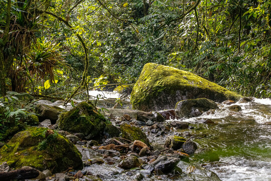 River in the Colombian rainforest with mossy rocks, Cocora Valley, Colombia