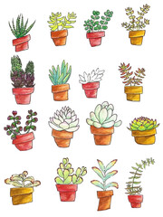 Assorted Floral Vector Outline illustration in a vase and jars, Potted Flower and Plants on Flat Style Set Pack