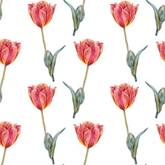 Seamless pattern watercolor orange tulip with green leaves isolated on white background. Hand-drawn spring flower for celebration card march 8. Nature art for wallpaper wrapping sketchbook florist
