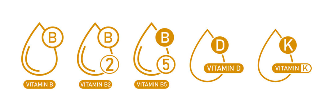 vitamin b, vitamin b2, b5, vitamin d and vitamin k icon, logo set vector illustration 