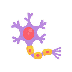 human sensory neuron model for biology studies