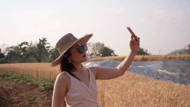 Young Asian woman taking selfie at barley wheat field.