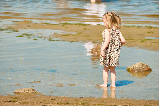 A little girl in a summer brown dress walks along the Baltic Sea on a clear summer day.