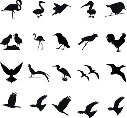 Decorative silhouette  birds vector icon set, Black and White Versions