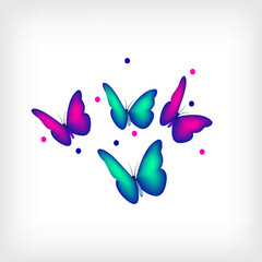 Fototapeta na wymiar Butterfly insect graphic vector.Used to butterfly animation concept element, banner, logo, digital illustration 