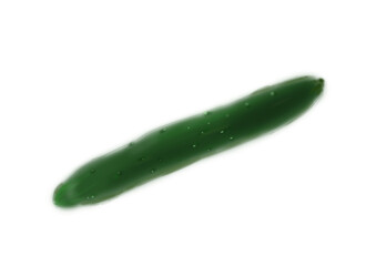 健康的な野菜のきゅうり