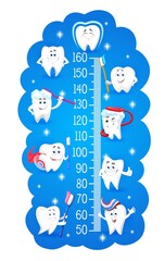 Cartoon teeth characters with toothbrushes, vector kids height chart or growth meter ruler. Children ruler or stadiometer on blue background with funny teeth, toothpaste, superhero red cape and shield
