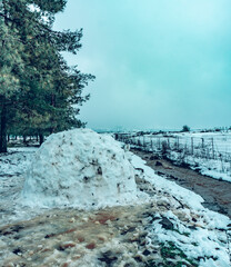 Igloo in the snow