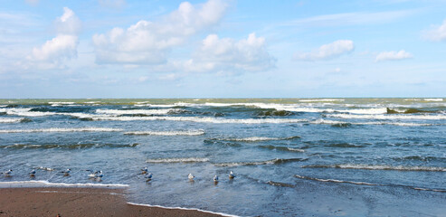 Coast of the Black Sea near Anapa during a storm in spring 